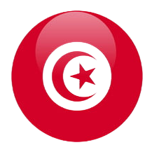 ste Development web Tunisie